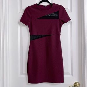 Express Maroon Sexy Sheer Cut Out Mini Bodycon / Skater Peekaboo Dress